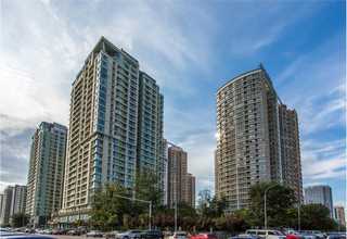 福建現貨防護口罩服務放心可靠